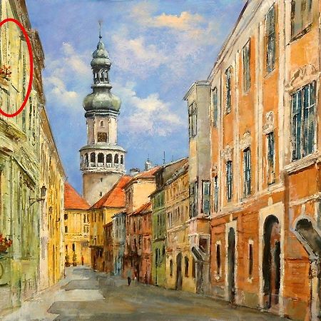 Belvarosi Erdesz-Lak Σόπρον Εξωτερικό φωτογραφία